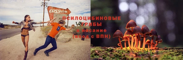 МДПВ Абаза
