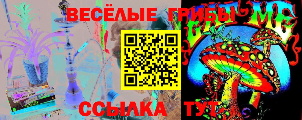 Псилоцибиновые грибы MAGIC MUSHROOMS  Вход с VPN  Псилоцибиновые грибы Psilocybine cubensis  даркнет сайт  Норильск 