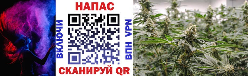 цены   Норильск  Каннабис OG Kush 